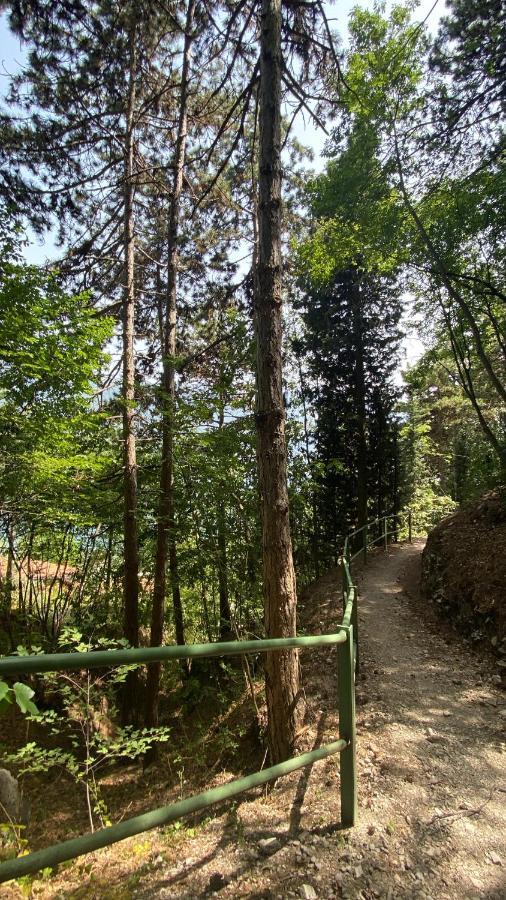 Dalco & Aparthotel Limone sul Garda